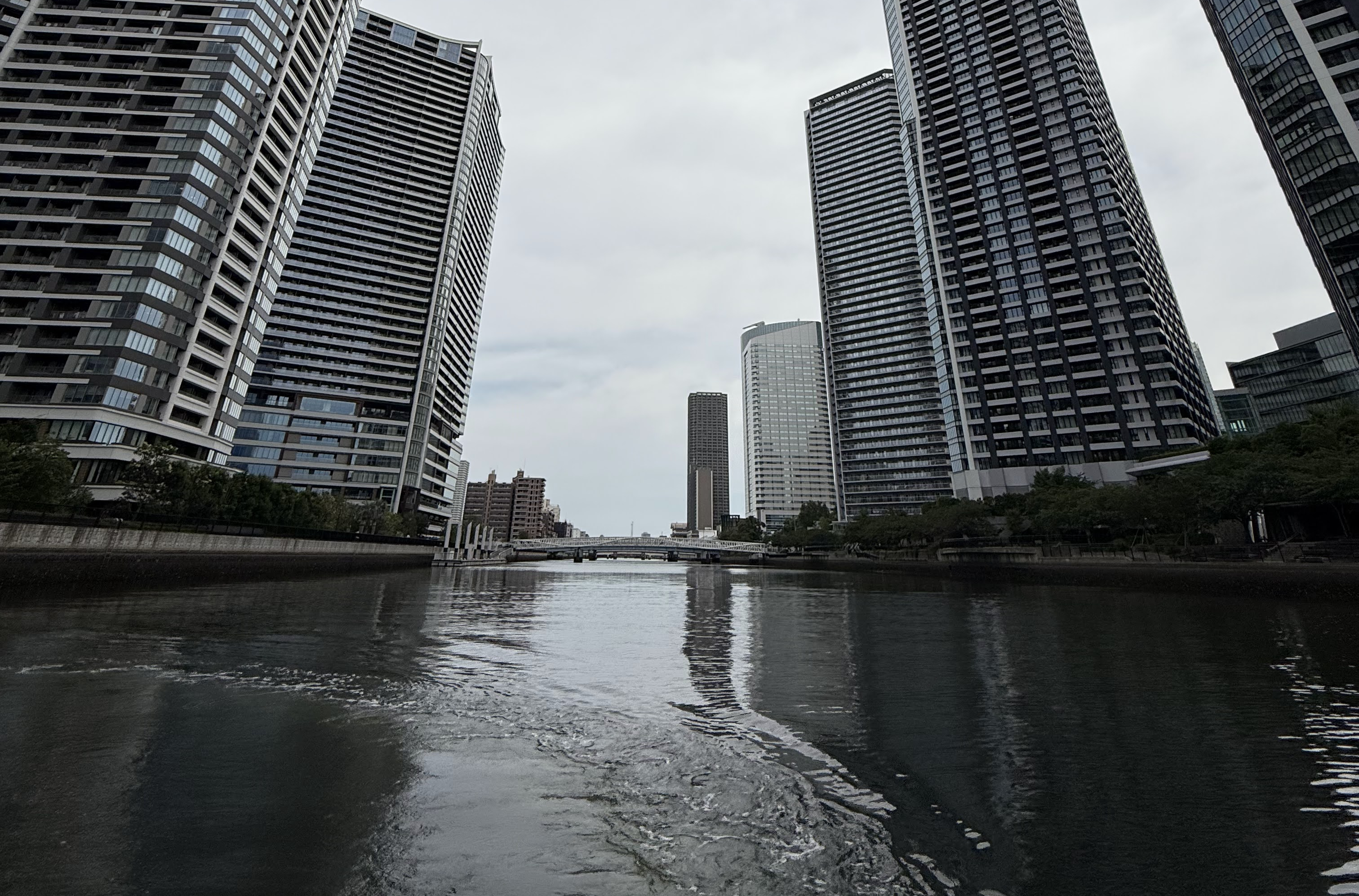 Cruise Image 13
